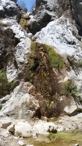 Waterfall during dry season.