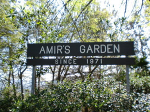 amirs_garden