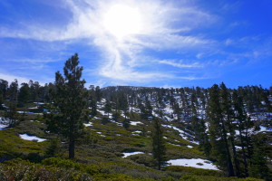 San Bernardino Peak Hike - 02-16-2015 (001)
