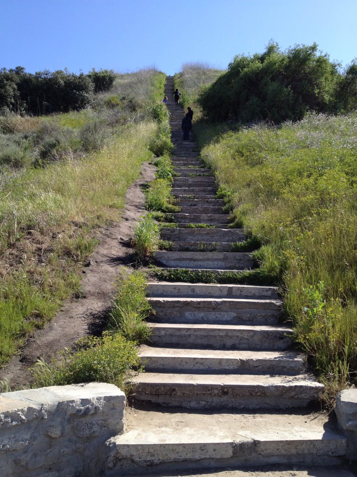 Staircase How Many Steps