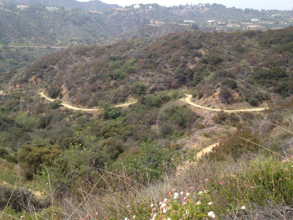 Franklin canyon la trail hikers