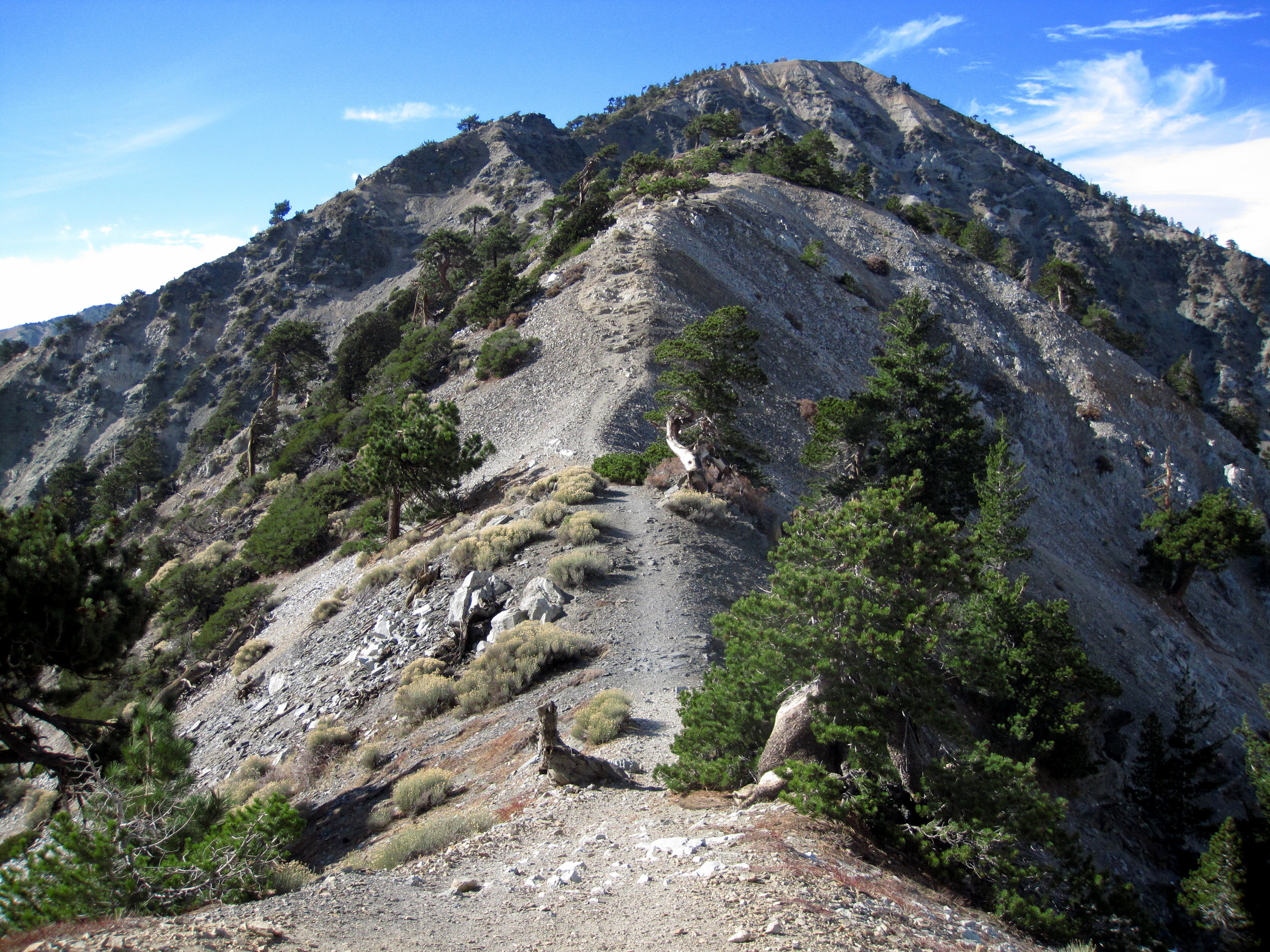 Devils Backbone Nature Trail - Colorado AllTrails