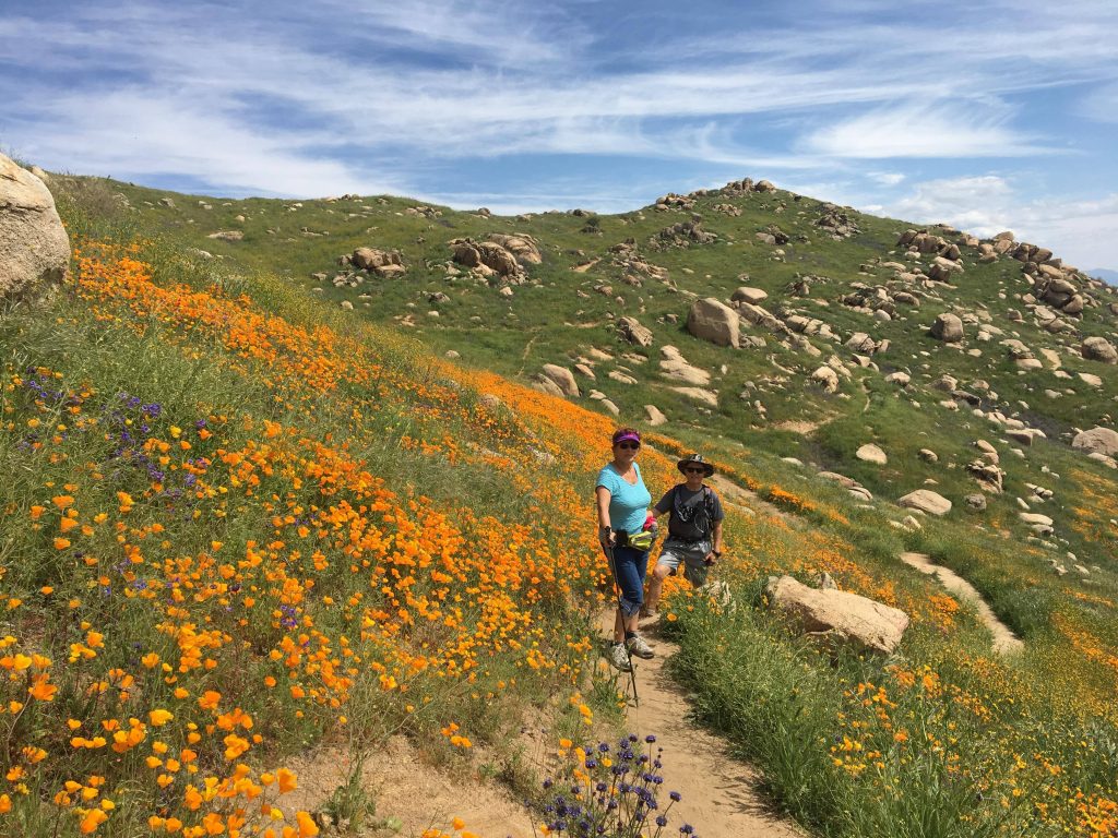 Box Springs Mountain Regional Park LA Trail Hikers